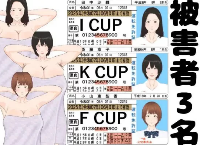 [SLG官中PC动态CV无码]全裸审讯模拟器 全裸取り调べシミュ… [1+550M]